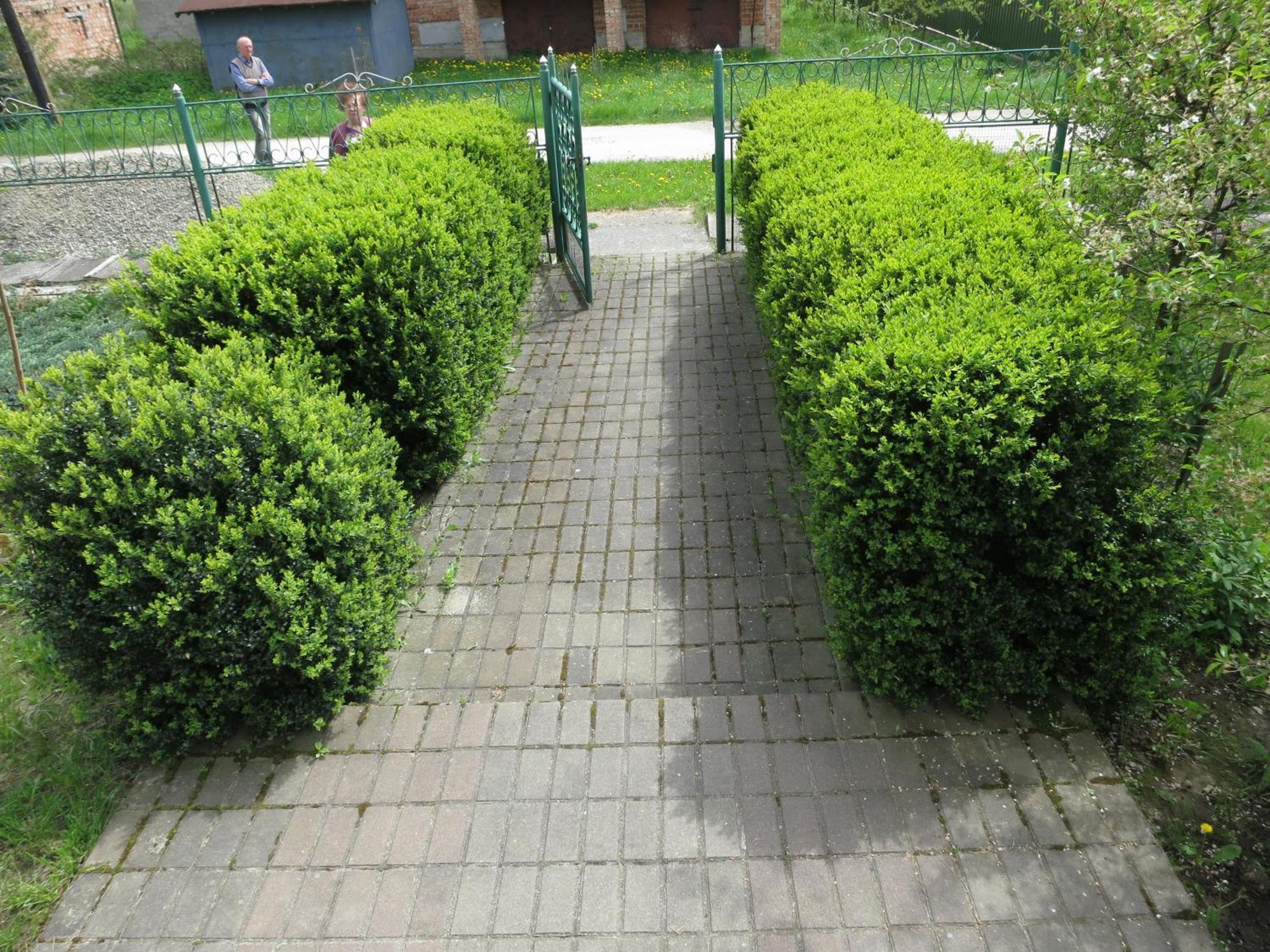 Hostynna Sadyba Lishnya Exterior foto